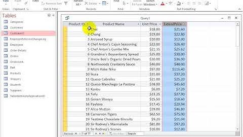 Query Parameter and Crosstab Queries 1