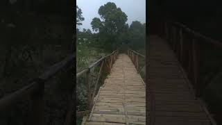 Jembatan bambu | Sakura Hills #shorts