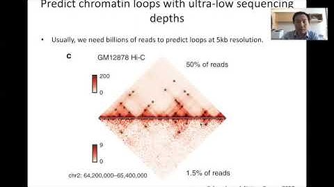 STAT115 Chapter 15.6 Computational Methods to Call Chromatin Loops