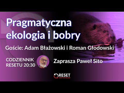 Codziennik Resetu - Paweł Sito