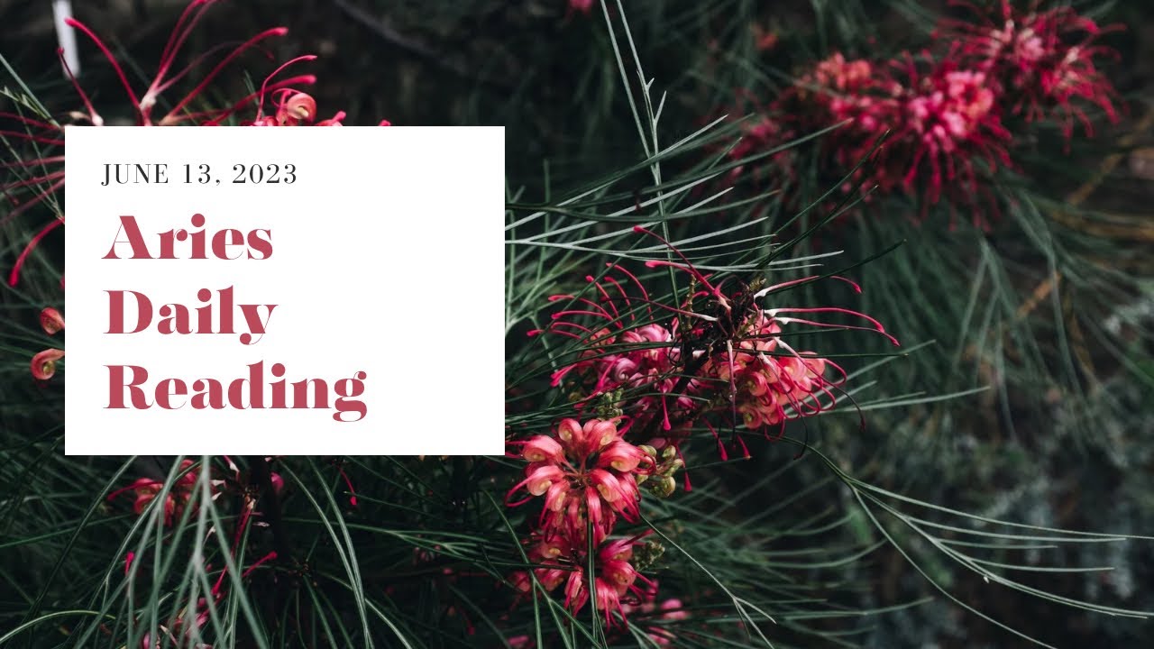 ARIES DEEP REFLECTION BEFORE MAKING THIS DECISION JUNE 13, 2023