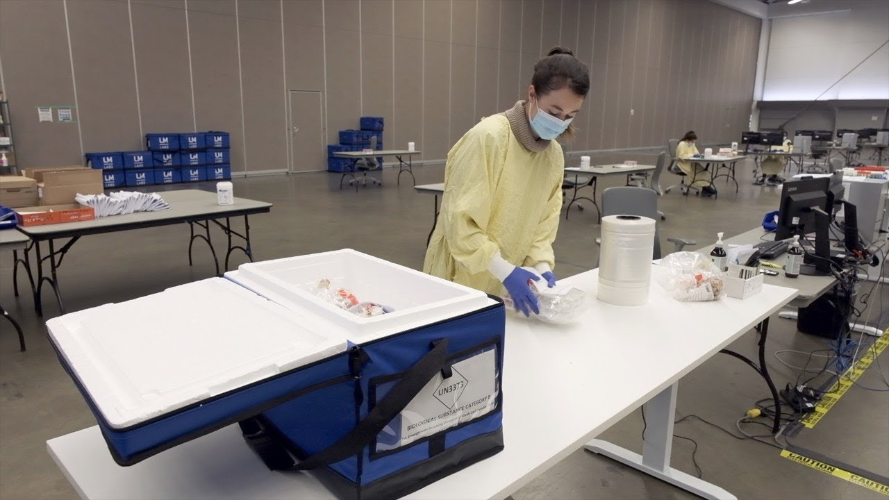 An innovative processing site speeds the pace of COVID-19 testing in B.C.