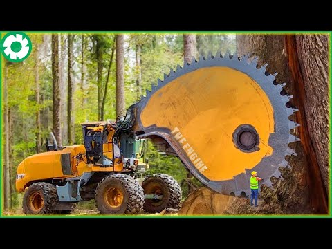 Most Big Chainsaw Cutting Tree Machines | Agriculture Technology