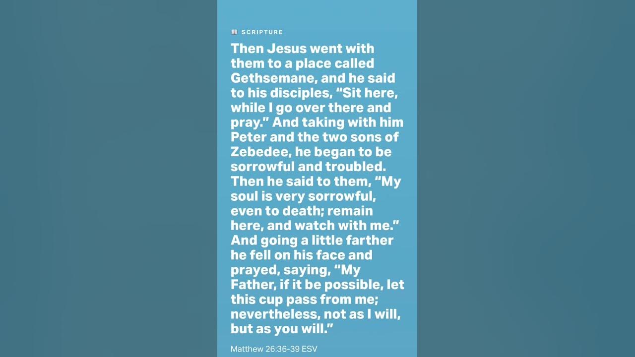daily-verse-and-prayer-from-the-holy-bible-app-don-t-forgot-to-read