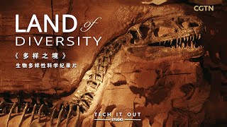 Land of Diversity: Supercomputer helps reveal Earth's mass extinctions