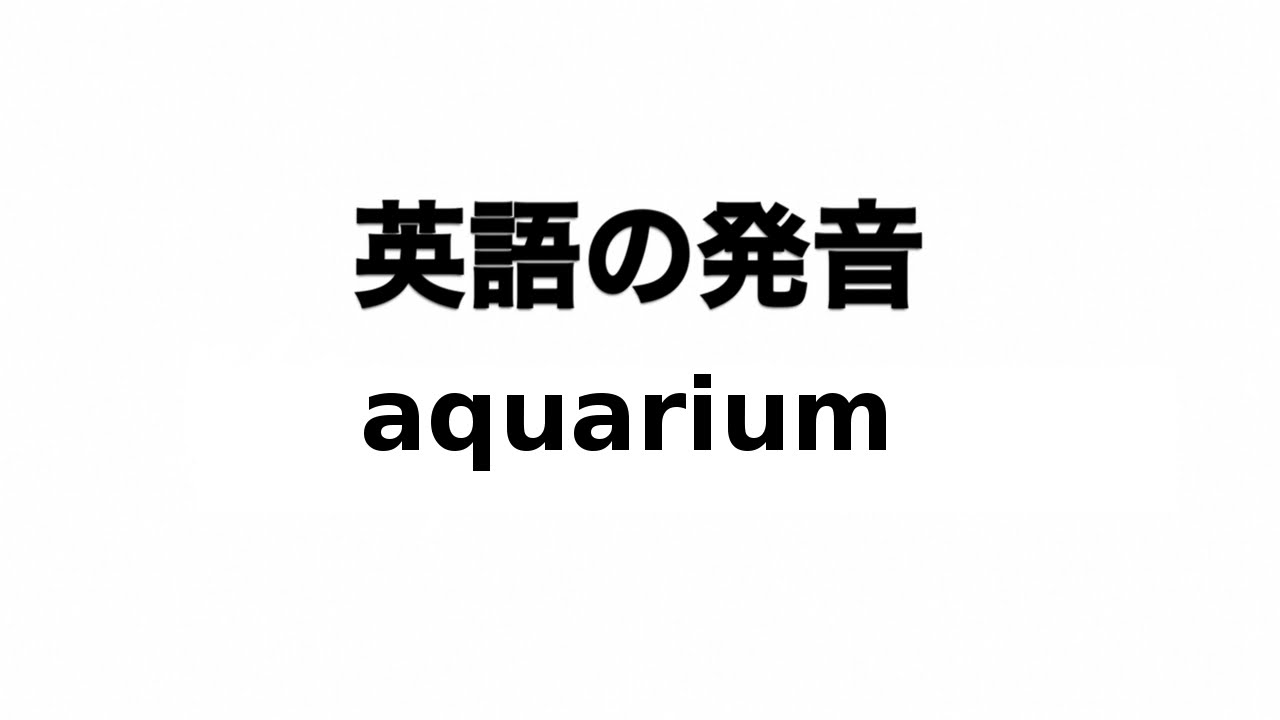 水族館は英語でaquarium 間違いやすい発音にも注意 大人男子のライフマガジンmensmodern メンズモダン