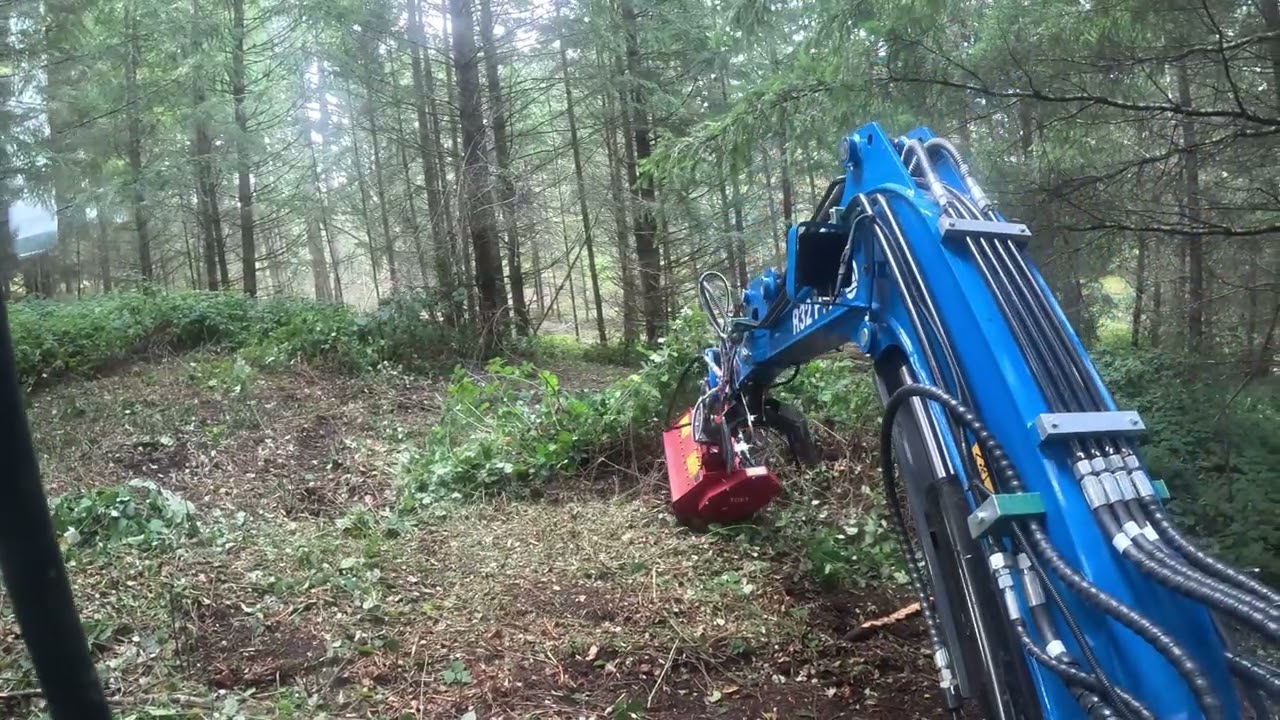 Blackberries are no match for the Rippa R32 Pro and flail mower