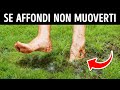 Istinti di sopravvivenza da padroneggiare quando il tempo è contro di te