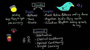 Operant Conditioning: Innate vs. Learned Behaviors