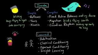 Operant Conditioning: Innate vs. Learned Behaviors
