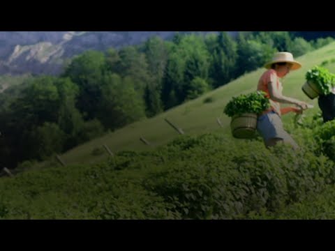 Clarins We Care x Organic Plants | Clarins
