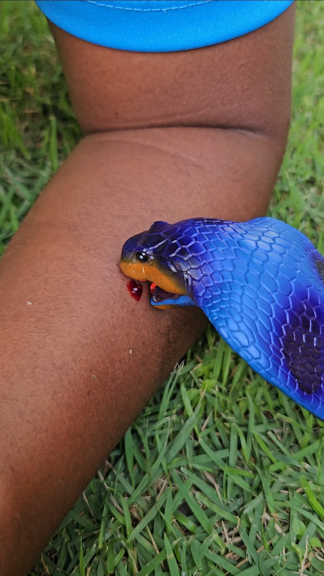O Ataque da Cobra ?? #funny #asmrsounds