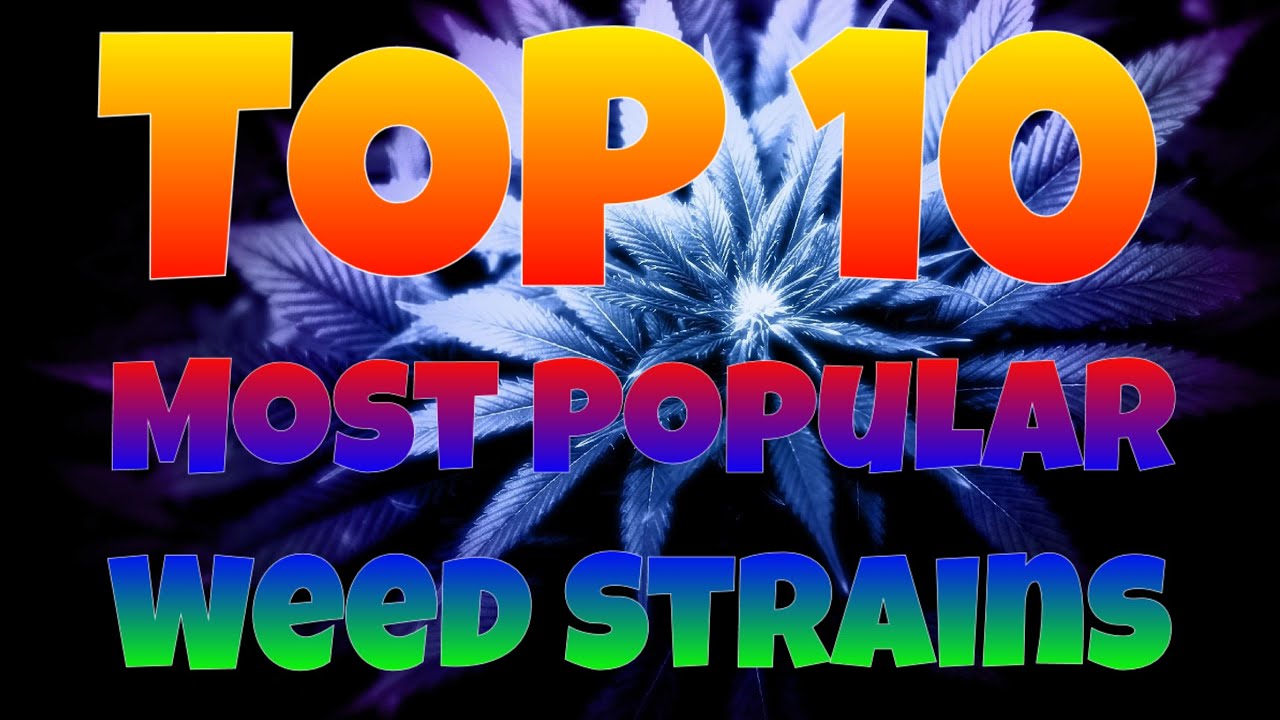 Top 10 Most Popular Weed Strains