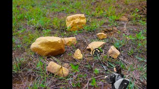 Gold worth millions found on unnamed island | Gold Rush 🌡️ Mining World