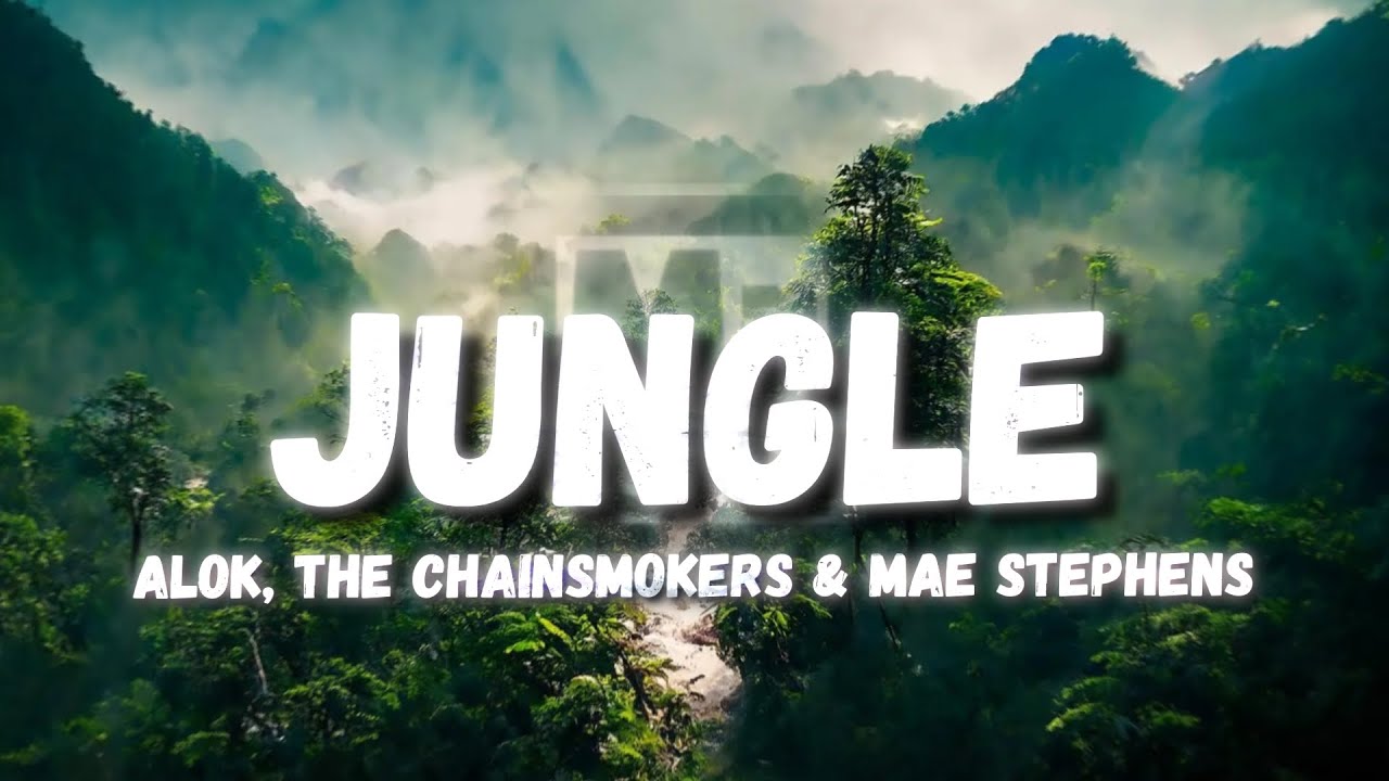 Alok, The Chainsmokers & Mae Stephens - Jungle (Lyrics) 