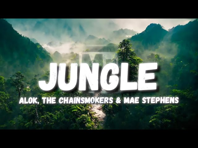 Alok, The Chainsmokers & Mae Stephens - Jungle (Lyrics) 