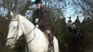 Island Foxhounds first hunt of the season at Ferns Co.Wexford. Irel...
