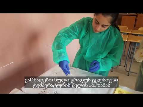 181-ე საჯარო სკოლის ჩხირკედელები\" - ენზიმები