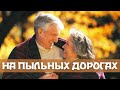 НА ПЫЛЬНЫХ ДОРОГАХ | песня родителям от жениха и невесты