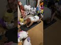 毎日 男磨き10日目 ダイエット 筋トレ 風の王 かけぞう 腹筋ローラー 自宅トレーニング ヒカル 下剋上 ジョージメンズコーチ #男磨きハウス #男磨きハウス2 #かけぞう