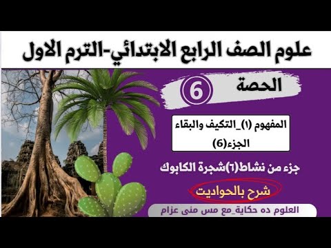 الحصة السادسة علوم رابعة المفهوم الاول شجرة الكابوك والنخل و تعريف التكيف العلوم ده حكاية