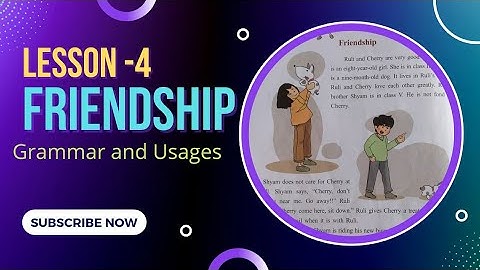 Friendship|lesson 4|class 3|Grammar and Usages |TS Gyan