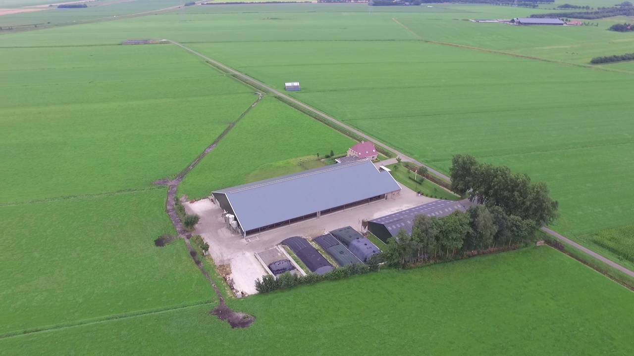 Machtig essence Afkorten Te Koop: melkveebedrijf | Woldweg 35 Nieuw-Weerdinge - YouTube