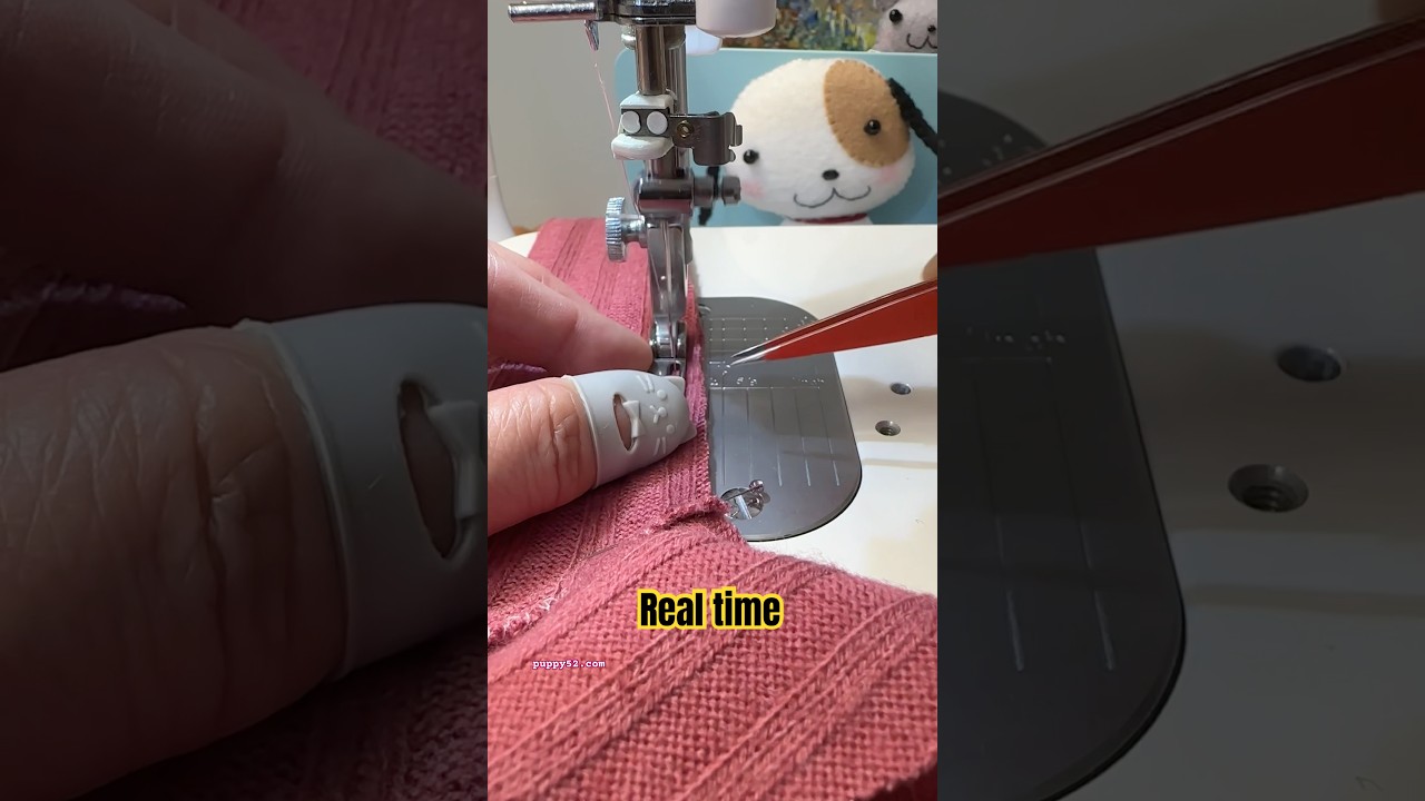 Timelapse vs real time 