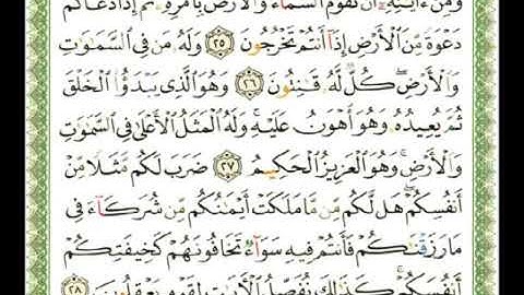 030   سورة الروم   ناصر القطامي flv