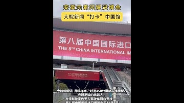 安徽元素闪耀进博会，大皖新闻“打卡”中国馆      大皖新闻讯  月壤样本、时速450公里动车组模型、会踢足球的机器人，与特斯拉金色无人驾驶车同台竞技……第八届中国国际进口博览会于11月5日