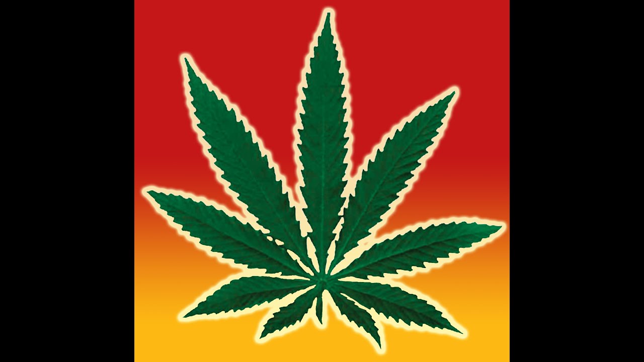 Netflix Hidden Gems: Murder Mountain and Last Breath.  Also, Vertigo Comics Gets Woke, Goes Broke