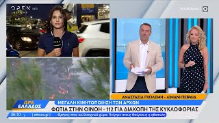 Φωτιά ξέσπασε στην Οινόη | Ethnos