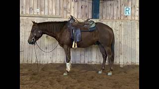 Shiners Tigger Whiz- For Sale