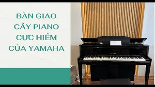 Bàn Giao Cây Piano Cực Hiếm Của Yamaha | YAMAHA N2