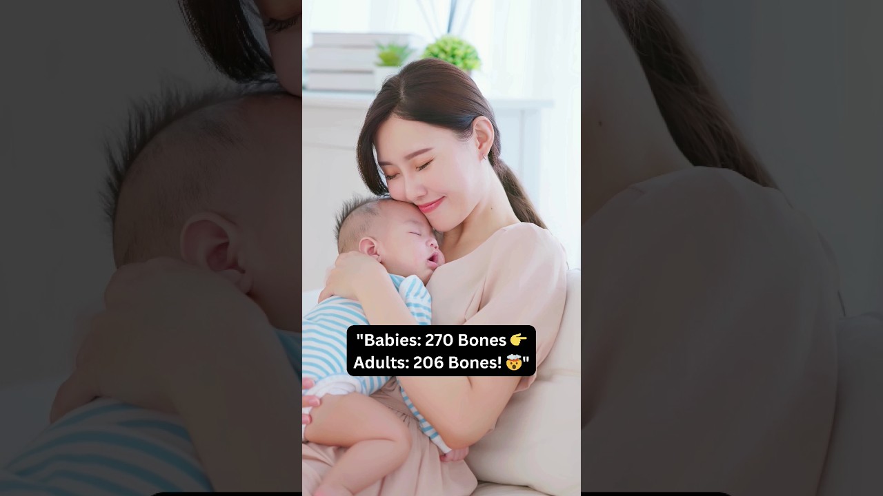 "Born with 270 Bones, Adults Have 206! 😲🦴 Find Out Why!" 