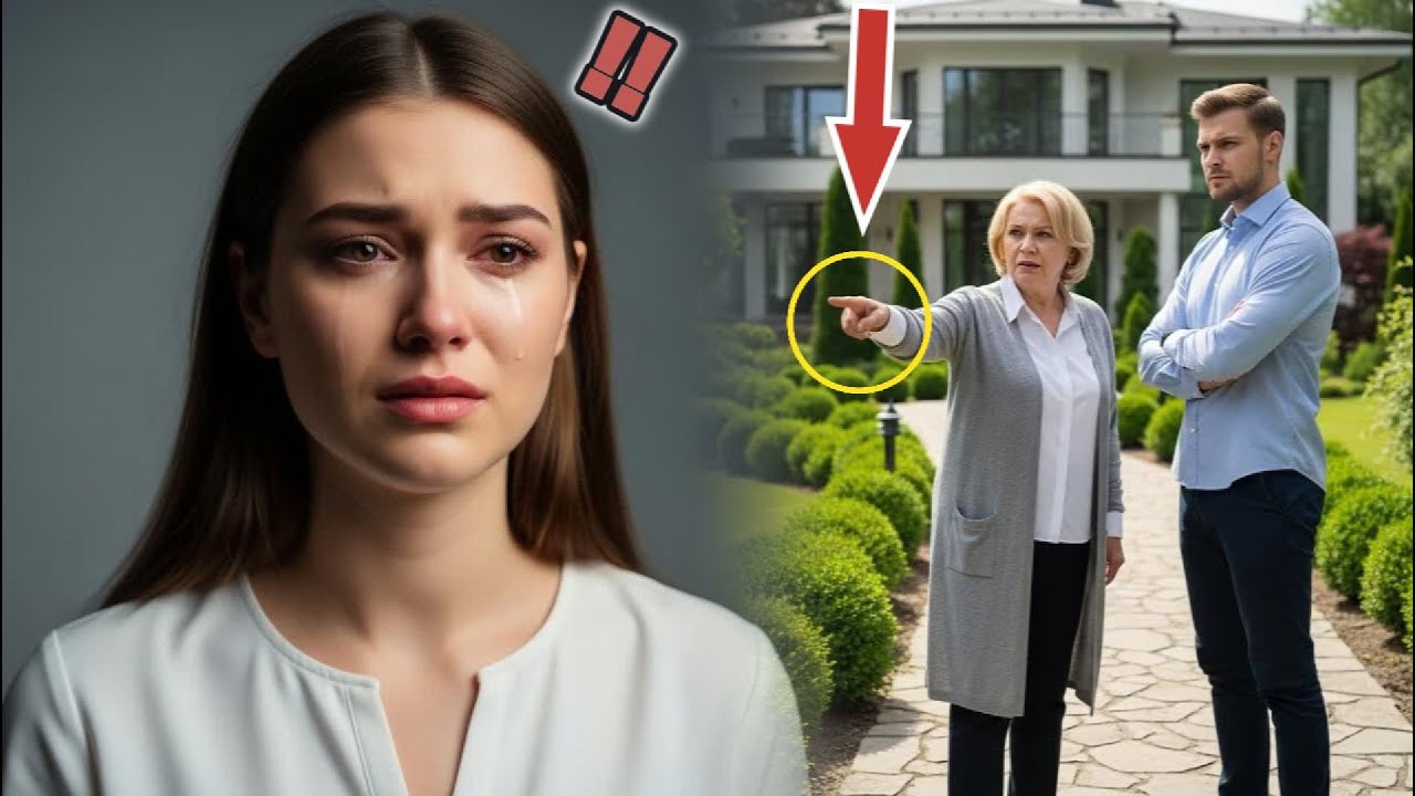 Свекровь выгнала невестку за бедность, не зная, что она глава корпорации.