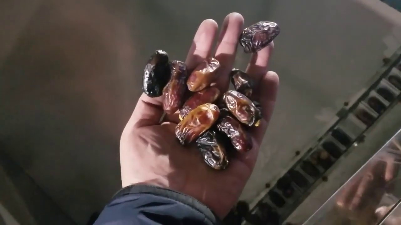 Automatic Dates Seed Removing Machine Fruit Seed Remove Machine Youtube
