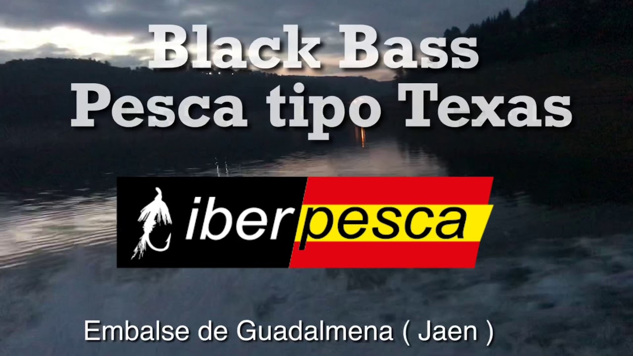 Black Bass Pesca Octubre Black Bass Pesca Octubre