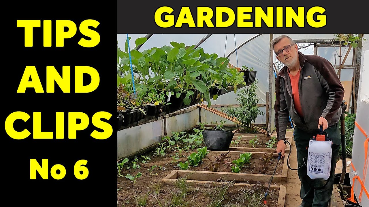 Советы и зажимы | Садовые хитрости | Полезные советы | Номер 6 | Зелёная сторона вверх