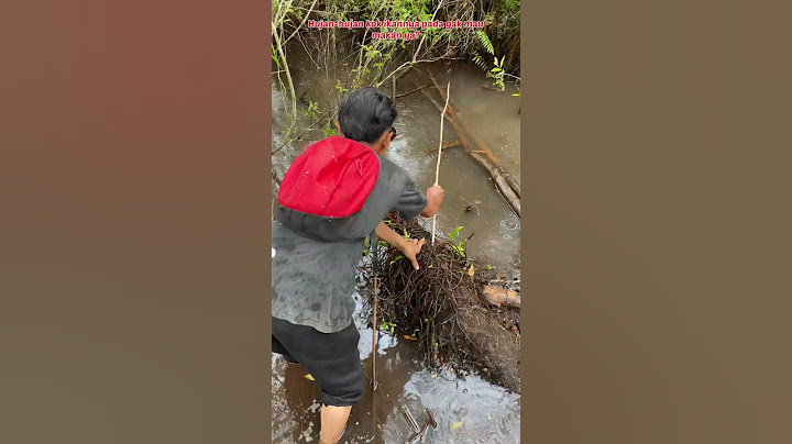 THIS IS WHAT HAPPENS IF YOU DARE TO FISH IN THE SWAMP WHEN IT RAINS😅 #84 #bocahpecicilan