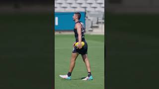 What Da Hell Is A Polar Bear Doing In Arlington Texas 