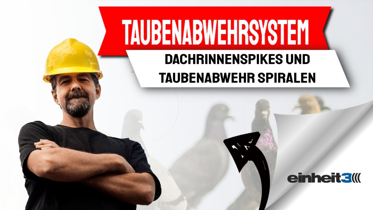 Taubenabwehrspikes befestigen - Anbringen von Taubenabwehr an einer Dachrinne