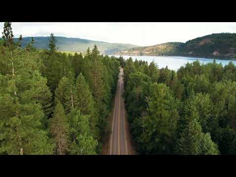 Relaxing & Calming Music - 12 Minutes l Relaxae