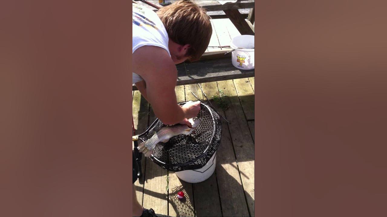 Trout Fishing, Trout Farm Gatlinburg, Pigeon Tennessee YouTube