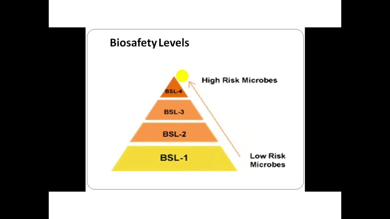 Biosafety levels