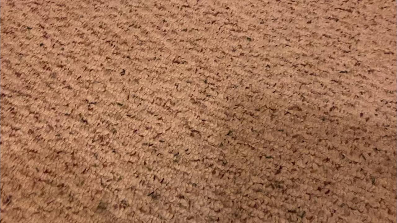 Throwing Away 2 VHS Tapes For February 17th, 2021 YouTube