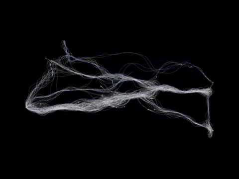 Agents following curves.wmv