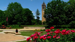 Campanile and flowers under blue sky