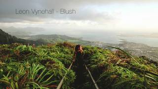 Leon Vynehall - Blush