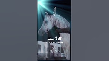 #تلاوة_خاشعة #اكسبلور #راحة_نفسية #oração #korean #istanbul #islam #اجر_لي_ولكم #استخدم الصوت#قرآن